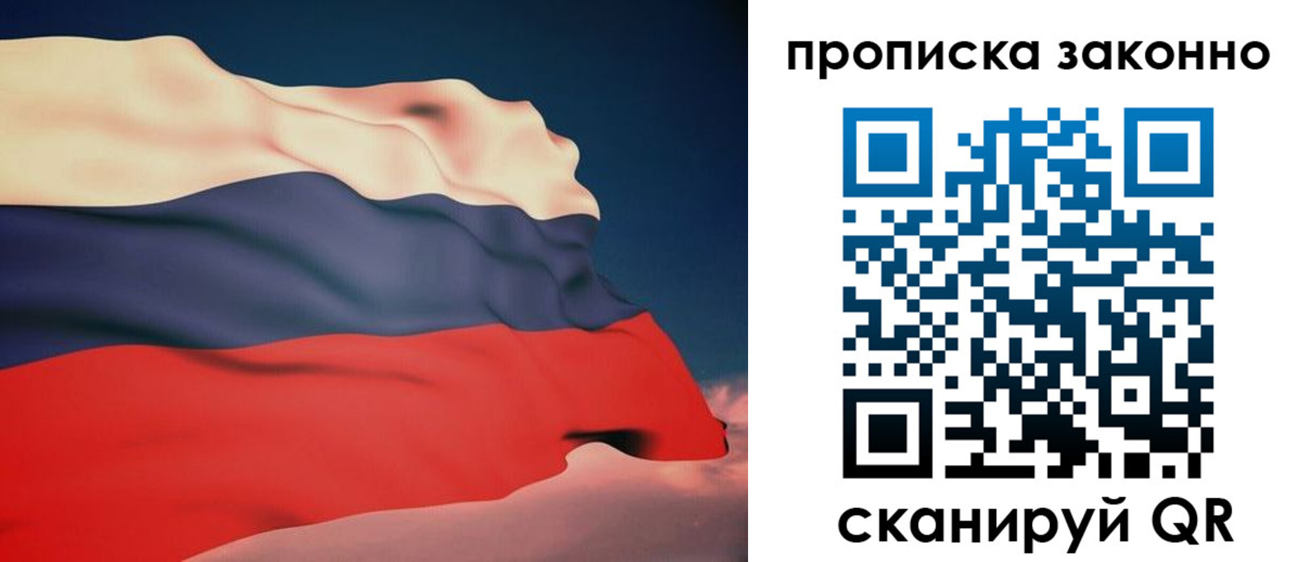 прописка 2025 в Павловске